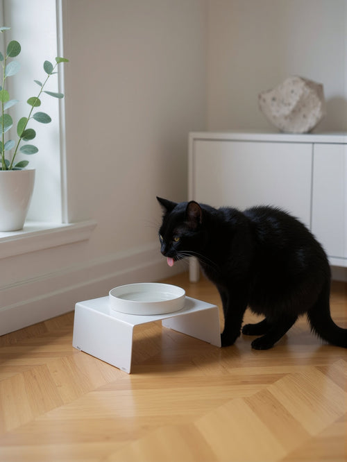 STYA Katzen Futternapf FE210 | Weiß