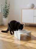 STYA Katzen Futternapf FE210 | Weiß