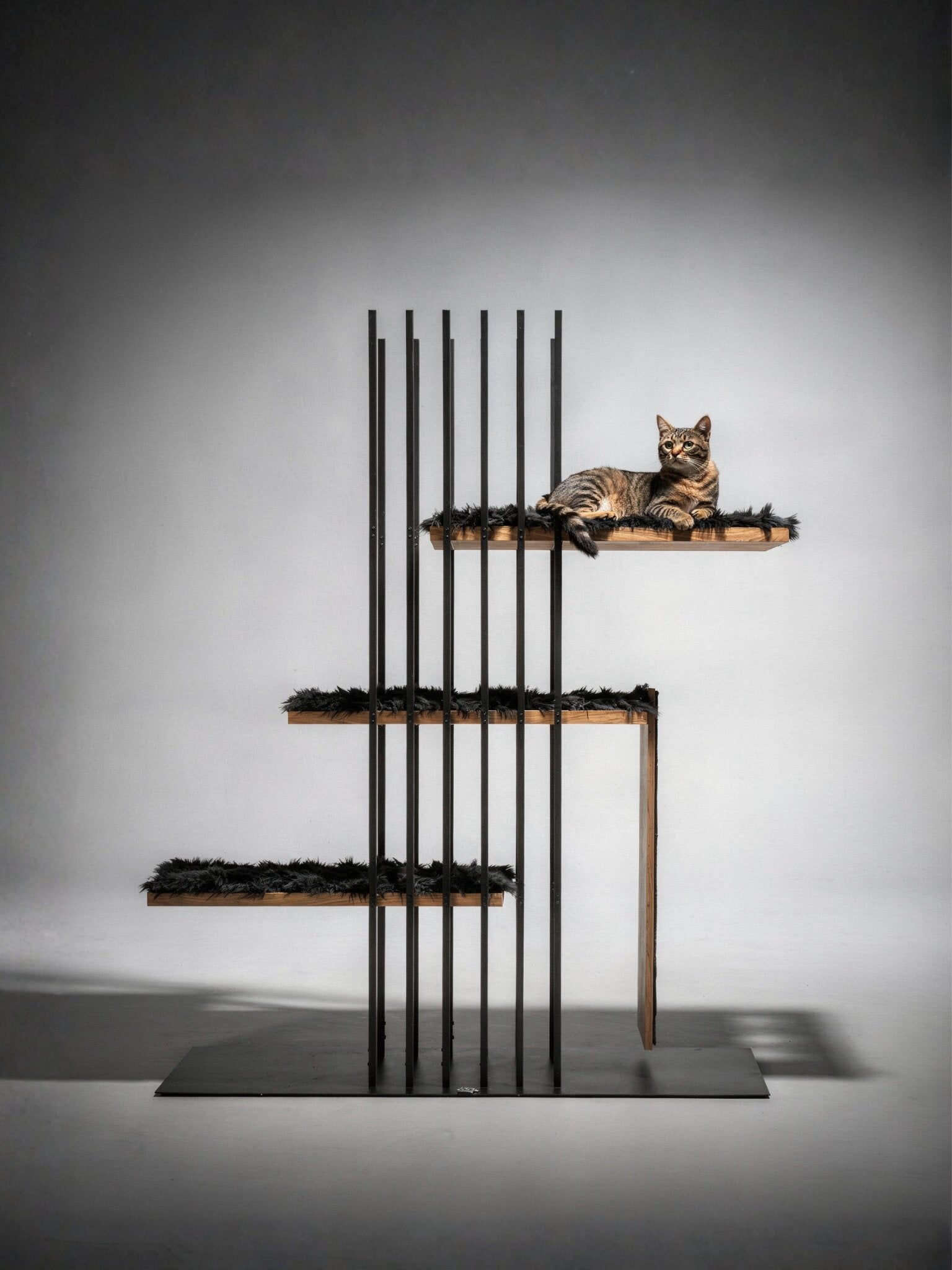 STYA Katzen Kratzbaum MS220 | Schwarz