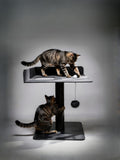 STYA Katzen Kratzbaum MS520 | Schwarz