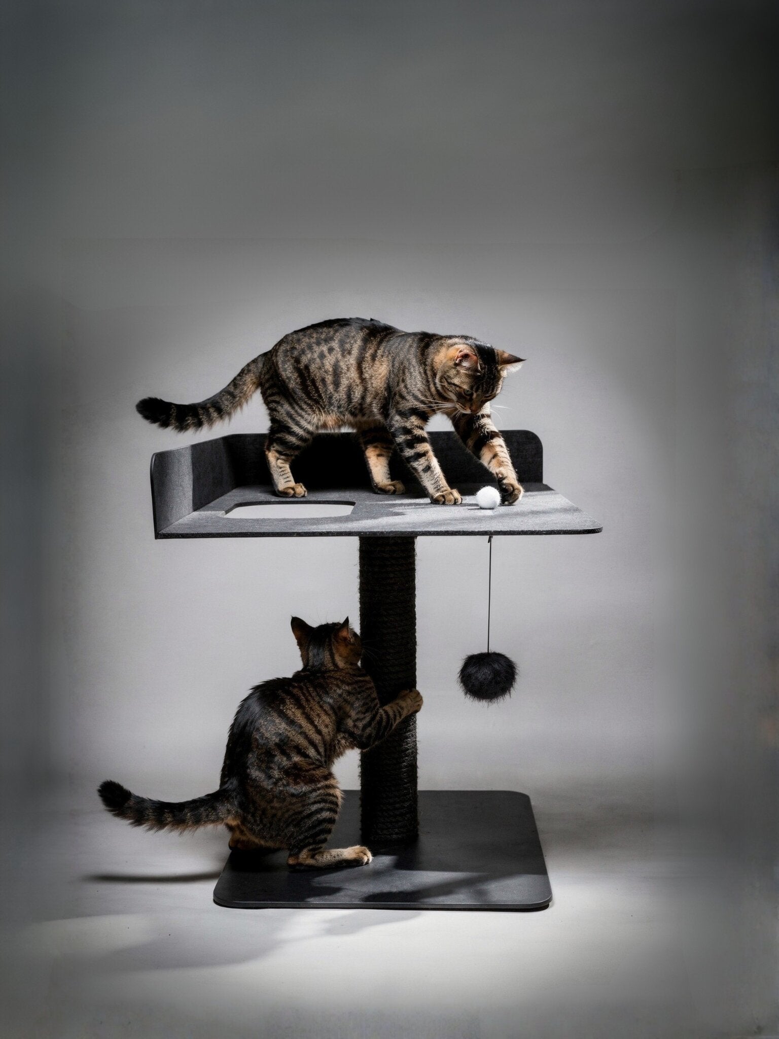 STYA Katzen Kratzbaum MS520 | Schwarz
