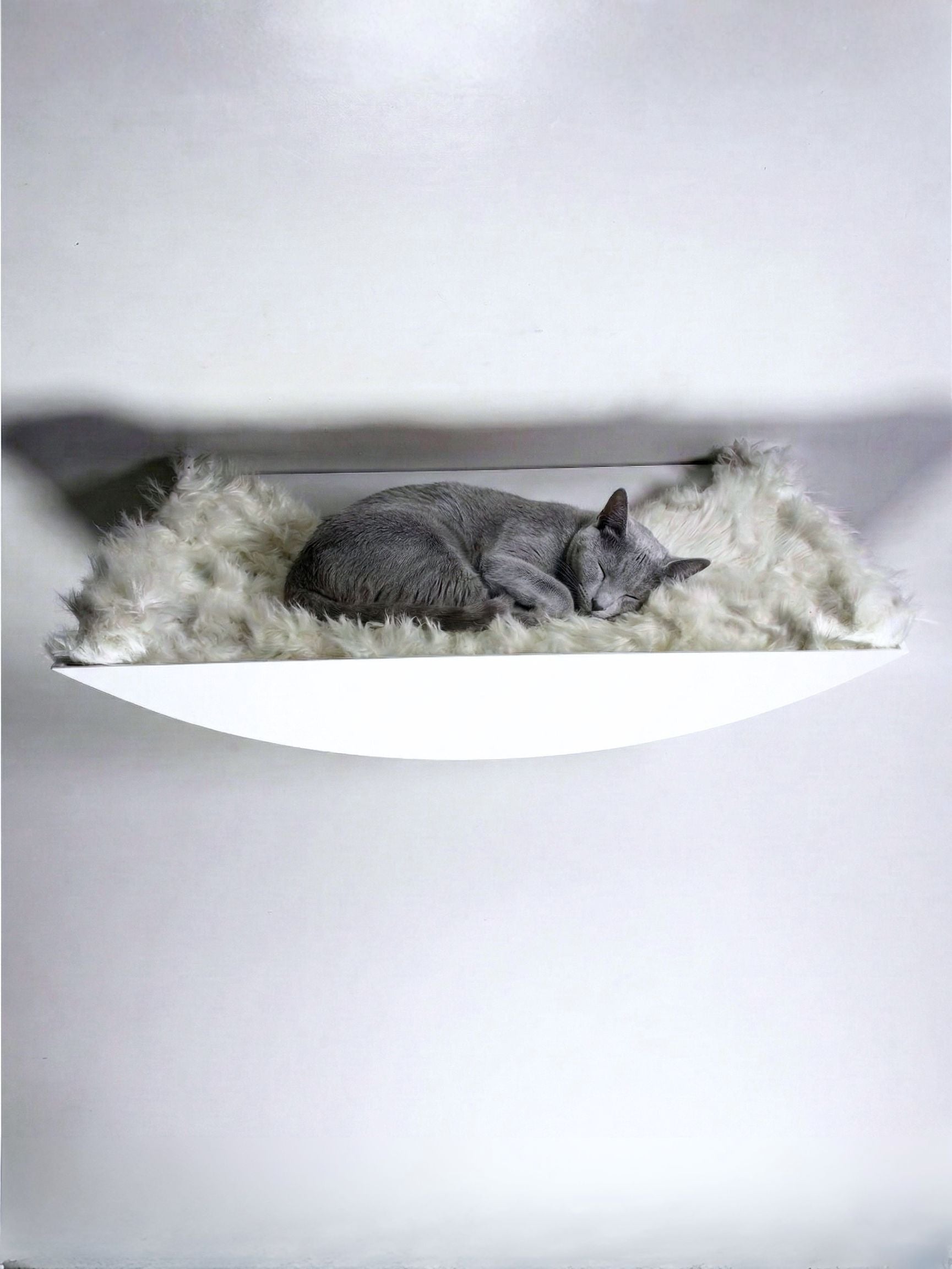 STYA Cat Climbing Wall | XXL Hammock & Nest WL190