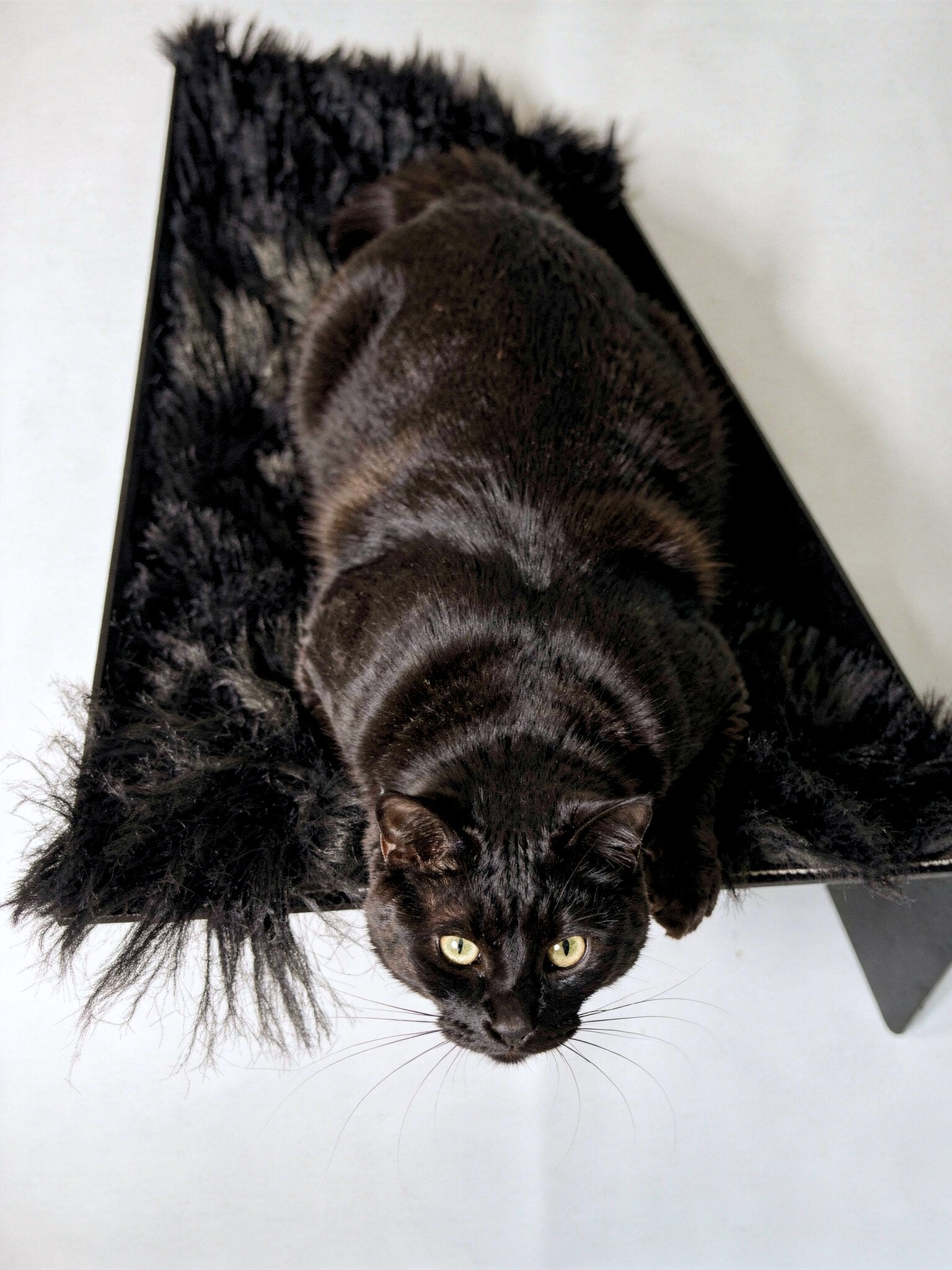 STYA Katzen Kletterwand | XXL Hängematte & Nest WL390