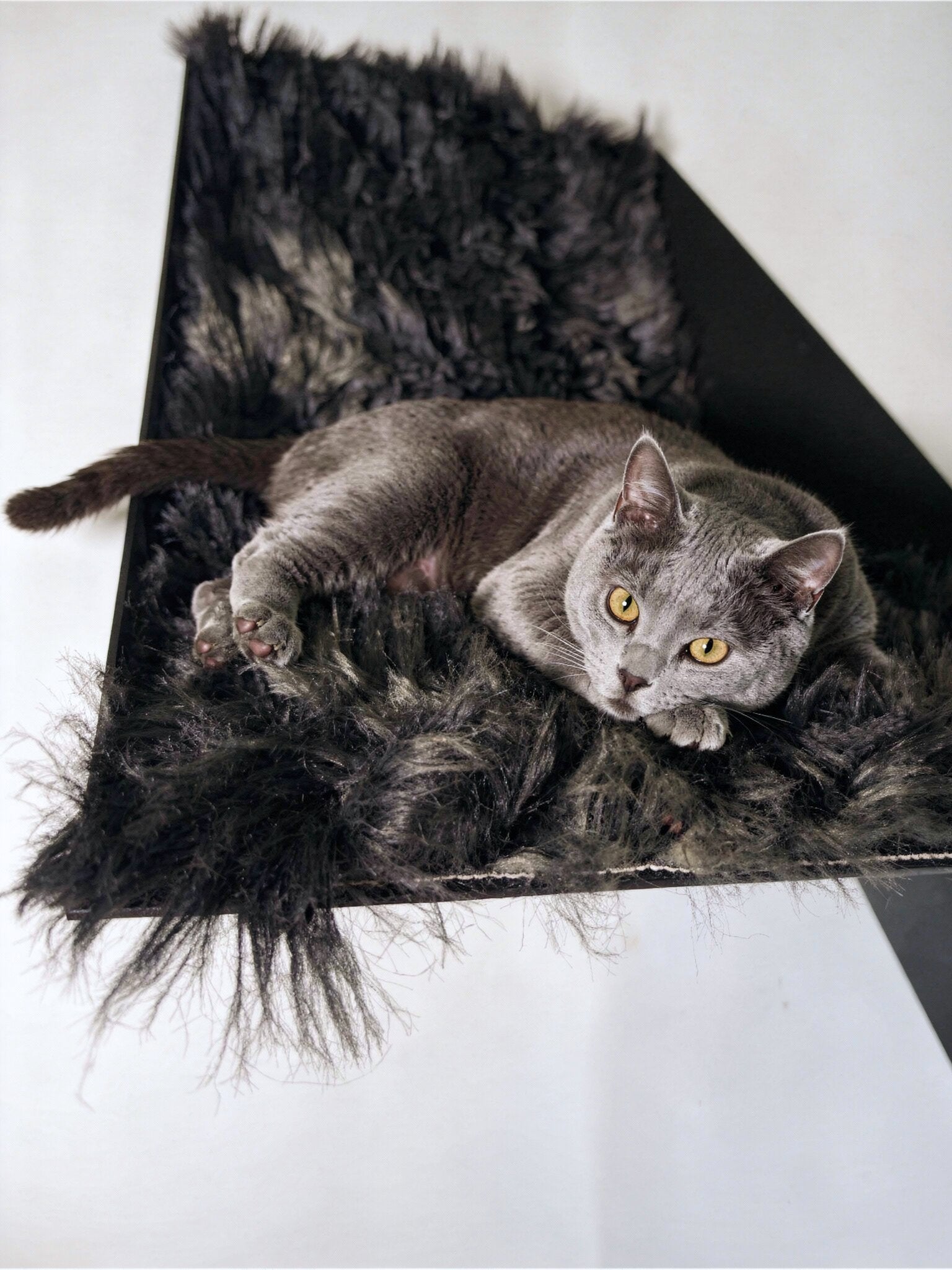 STYA Katzen Kletterwand | XXL Hängematte & Nest WL390