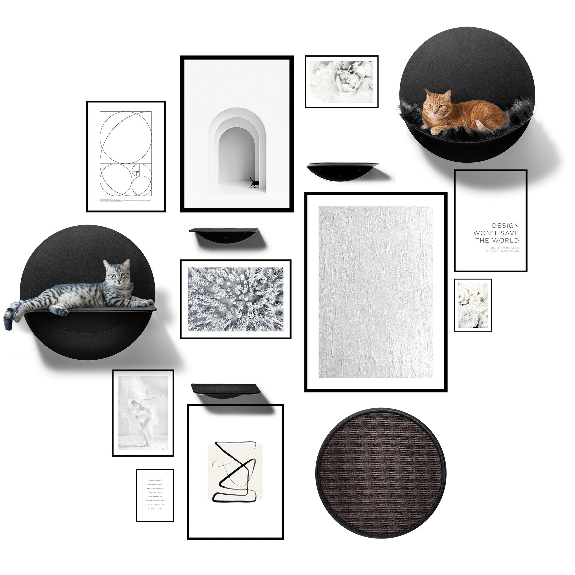 STYA Katzen Kletterwand | Hängematte WL110