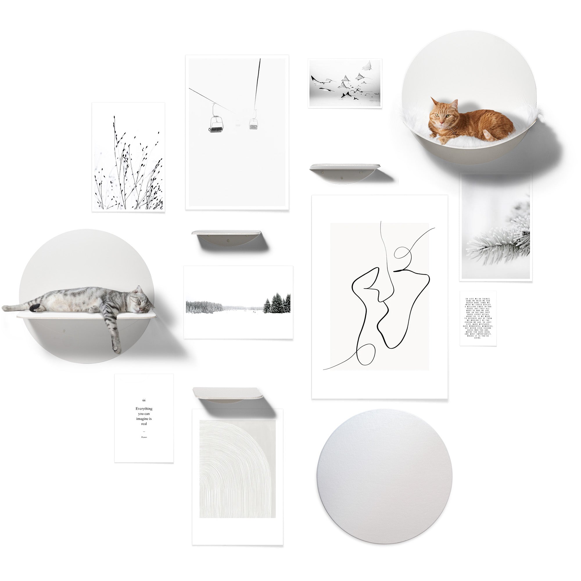 STYA Katzen Kletterwand | Set Galerie | Linie WL100