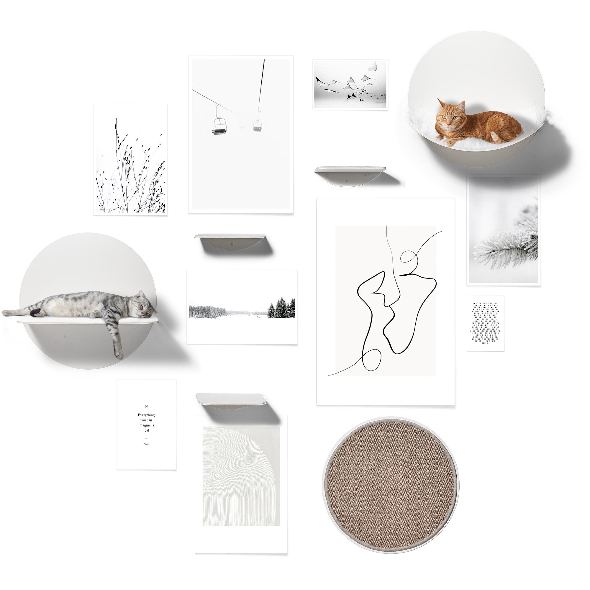 STYA Katzen Kletterwand | Wandliege WL120