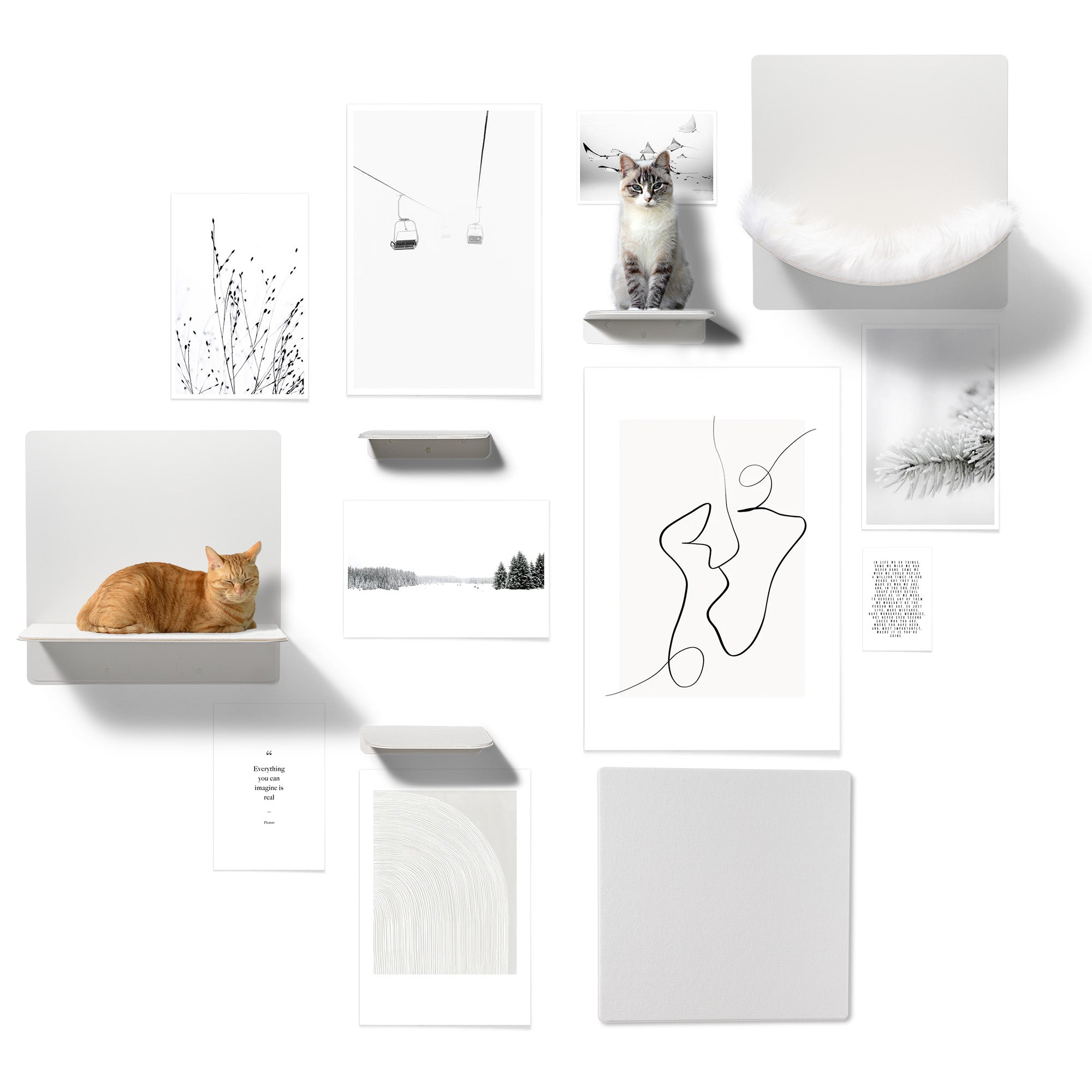 STYA Katzen Kletterwand | Set Galerie | Linie WL300